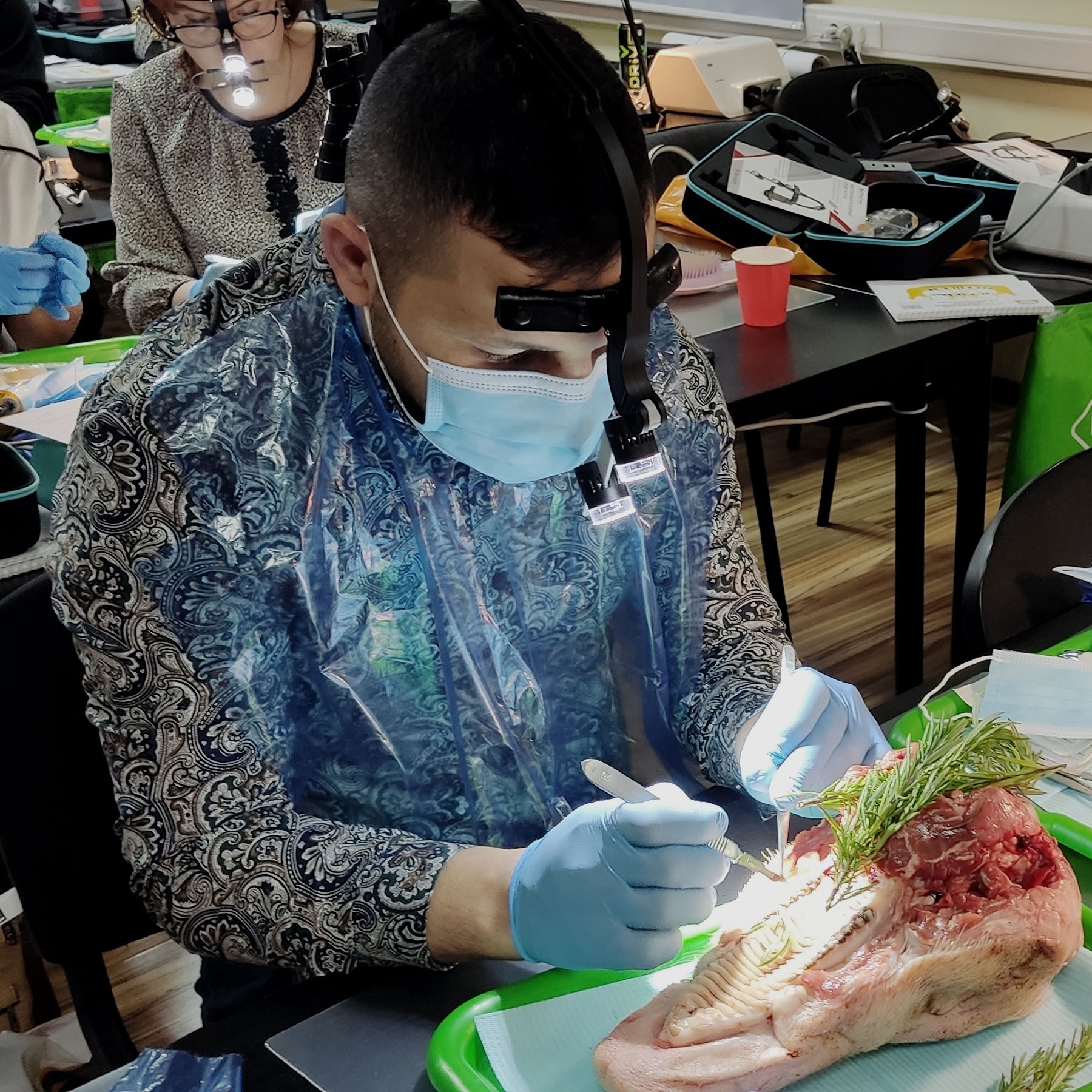 Курс Пластика мягких тканей